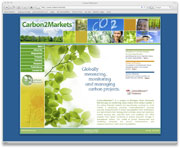 Digital Active - Carbon 2 Markets